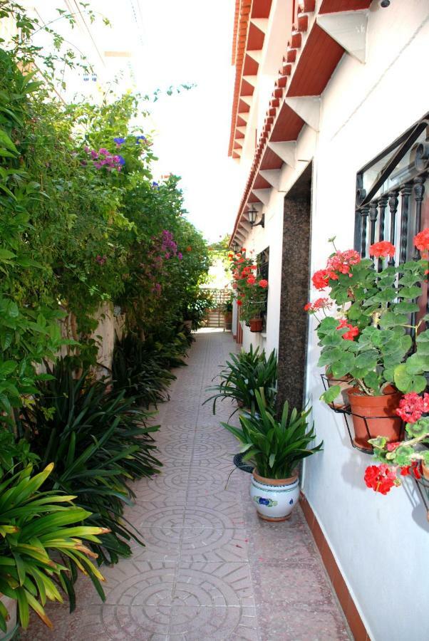 Apartamentos Inter Gandia Playa المظهر الخارجي الصورة
